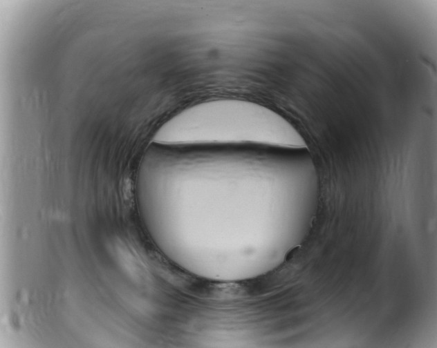 X0000099540087200805160759