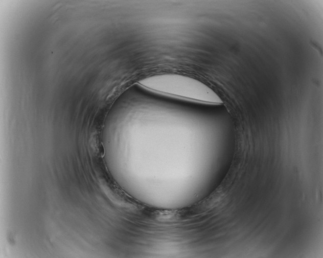 X0000099540088200805160759