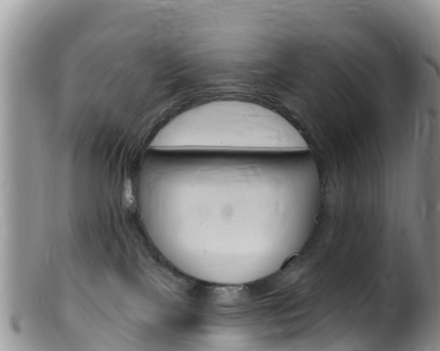 X0000099540089200805160759
