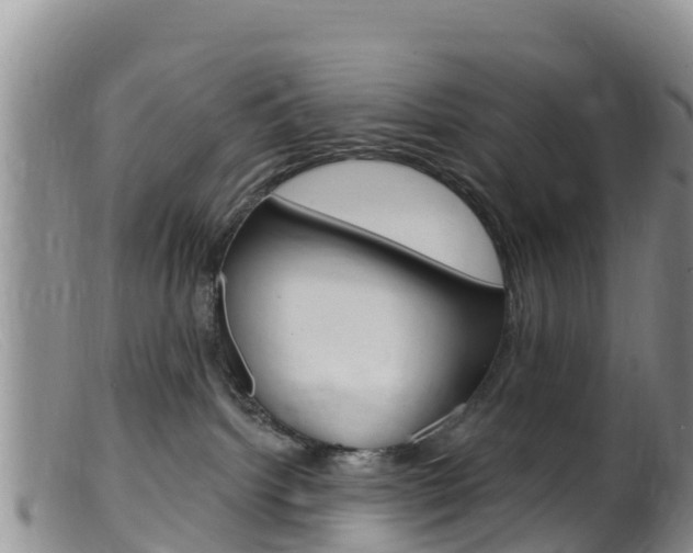 X0000099540092200805160759