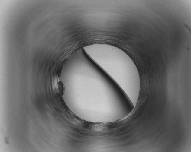 X0000099540094200805160759