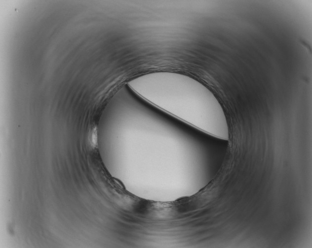 X0000099540095200805160759