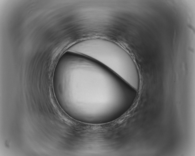 X0000099540097200805160758