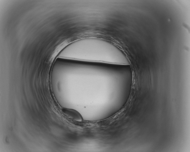 X0000099540099200805160758