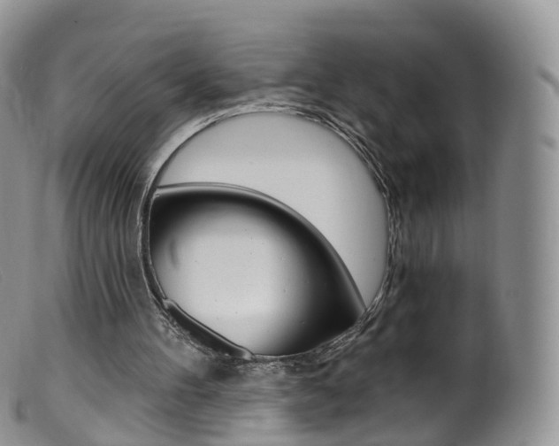 X0000099540100200805160758
