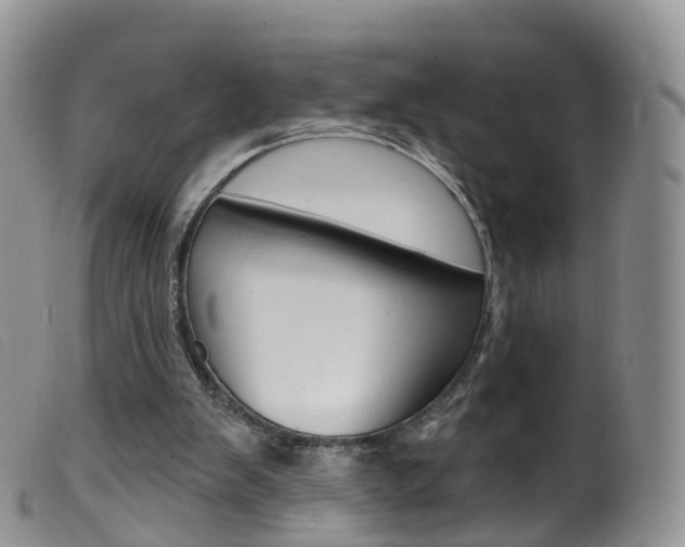 X0000099540103200805160758