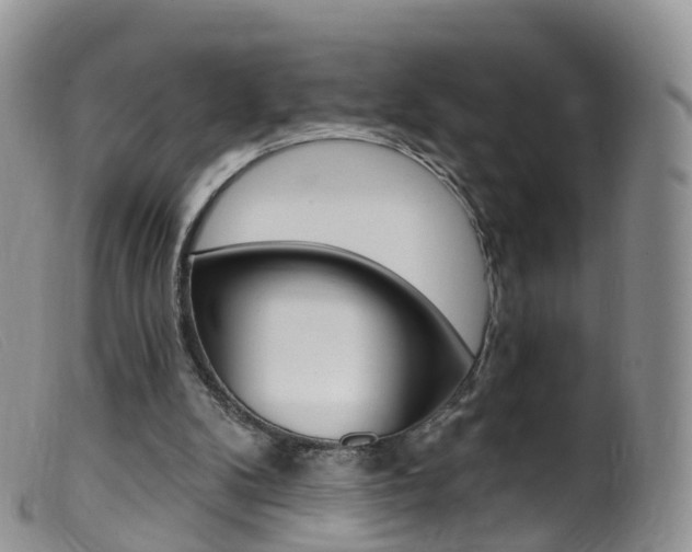X0000099540104200805160758