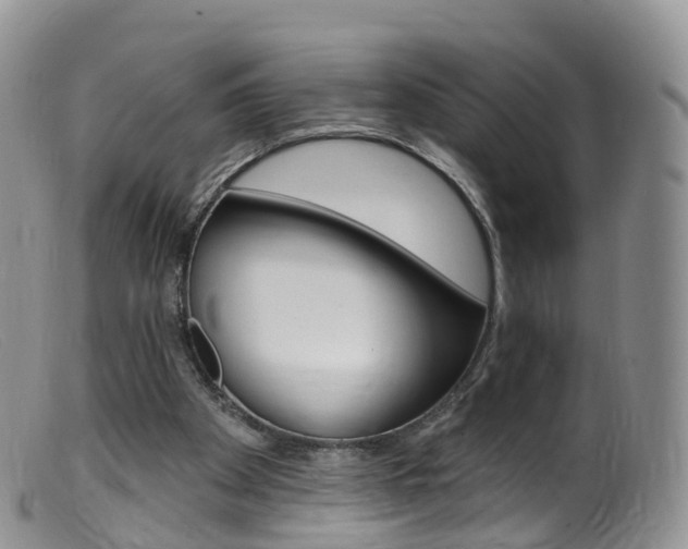 X0000099540105200805160758