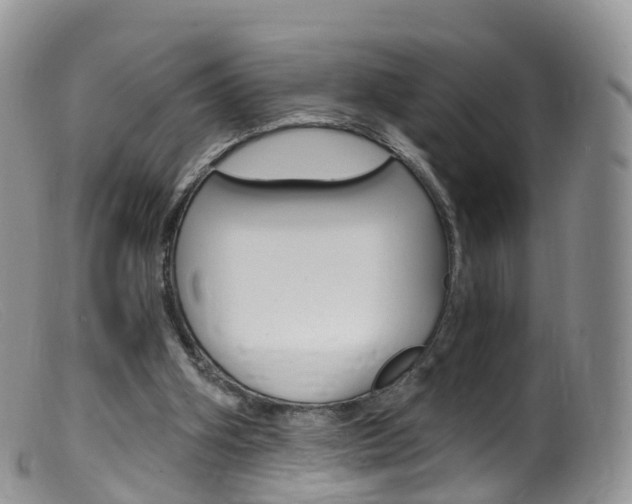 X0000099540106200805160758