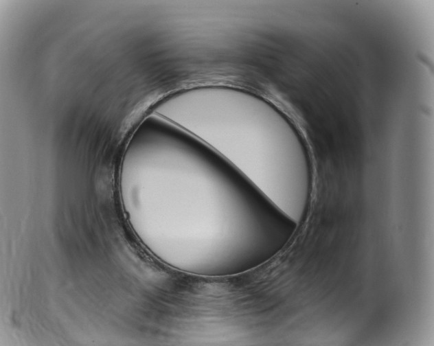 X0000099540107200805160758
