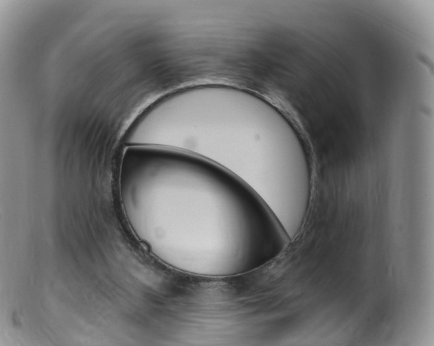 X0000099540108200805160758
