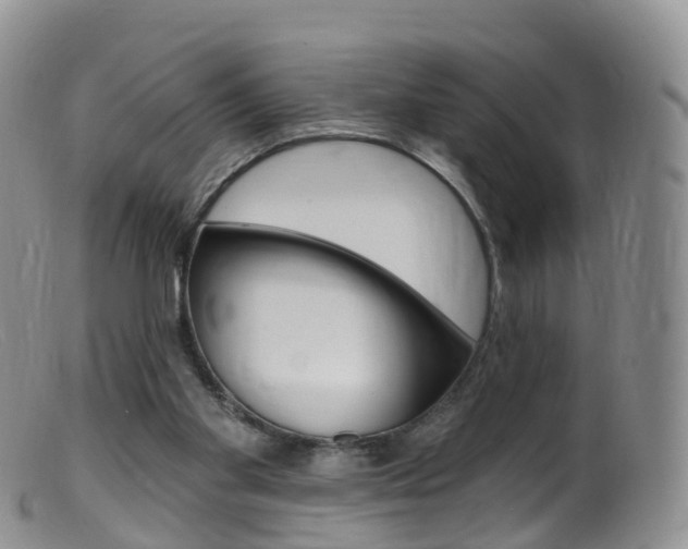 X0000099540109200805160758