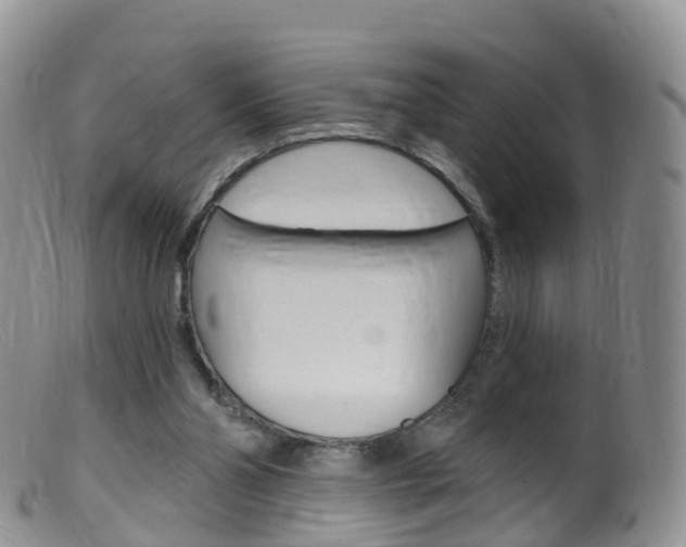 X0000099540110200805160758