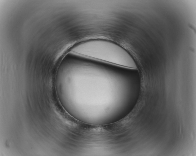 X0000099540112200805160758