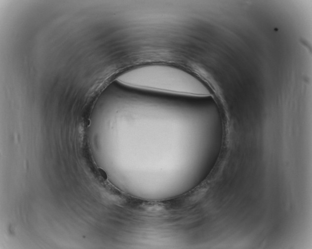X0000099540113200805160758