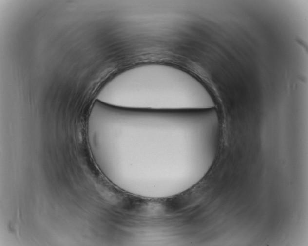 X0000099540114200805160758