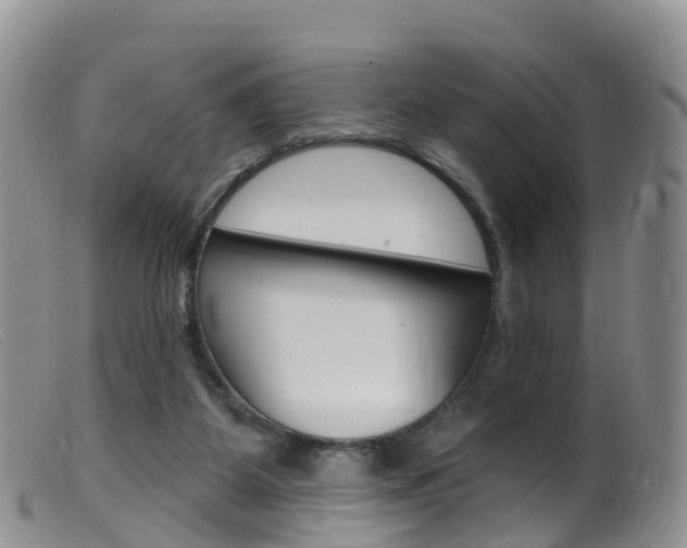 X0000099540115200805160758