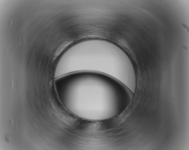 X0000099540116200805160758
