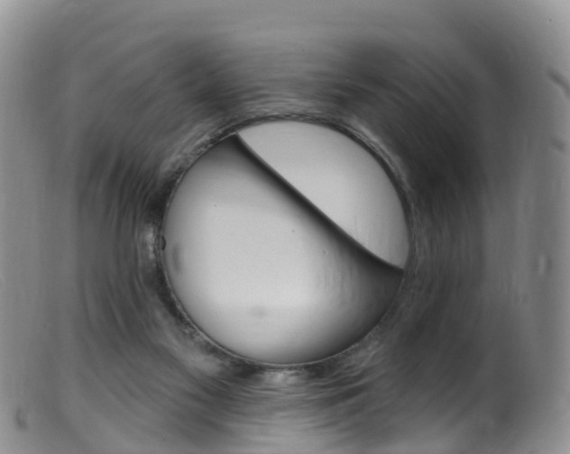 X0000099540117200805160758