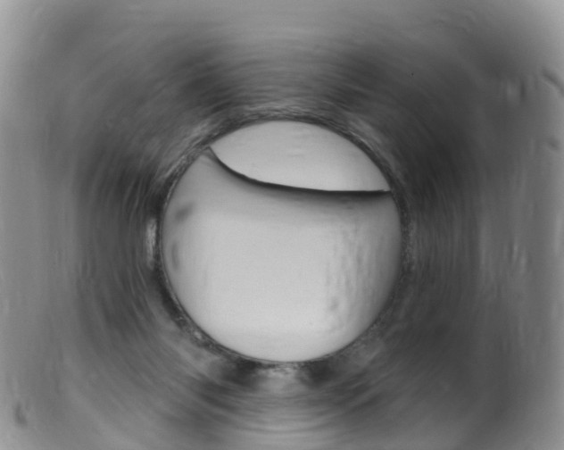 X0000099540118200805160758