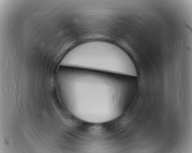 X0000099540119200805160758