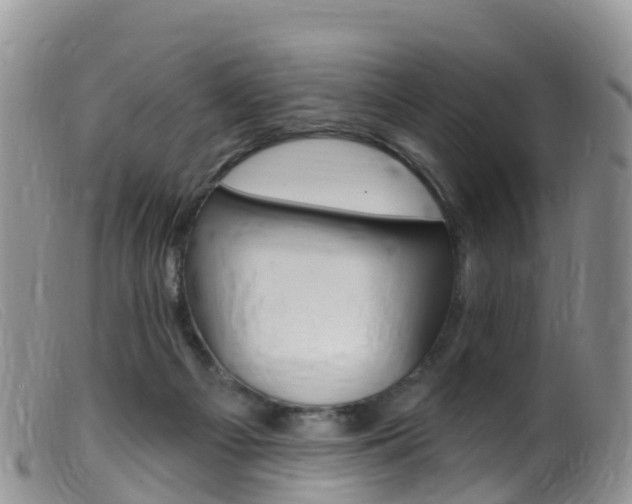 X0000099540121200805160758