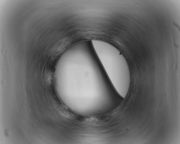 X0000099540125200805160758