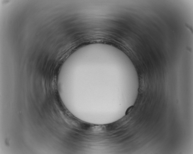 X0000099540126200805160758