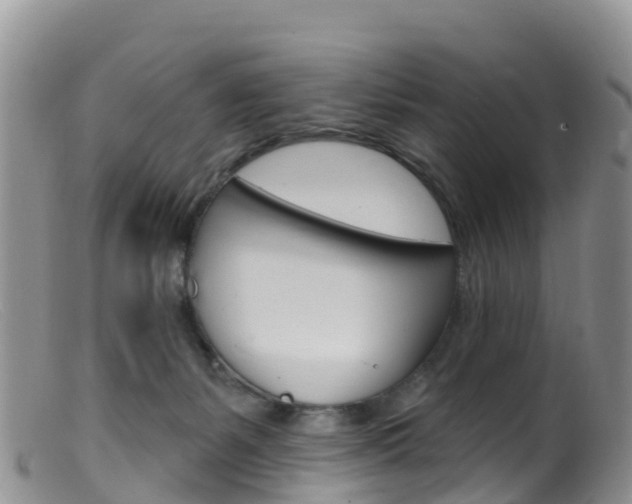 X0000099540127200805160758
