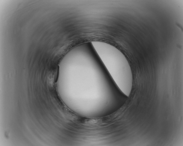 X0000099540129200805160758