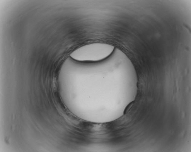 X0000099540130200805160758