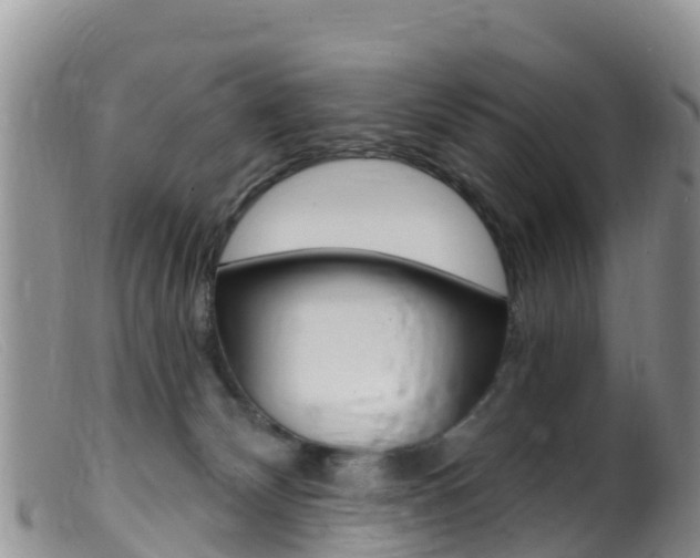 X0000099540132200805160757
