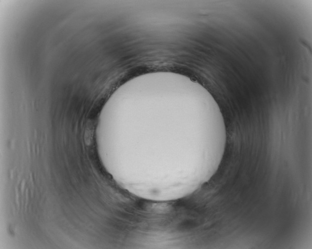 X0000099540133200805160757
