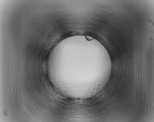 X0000099540134200805160757