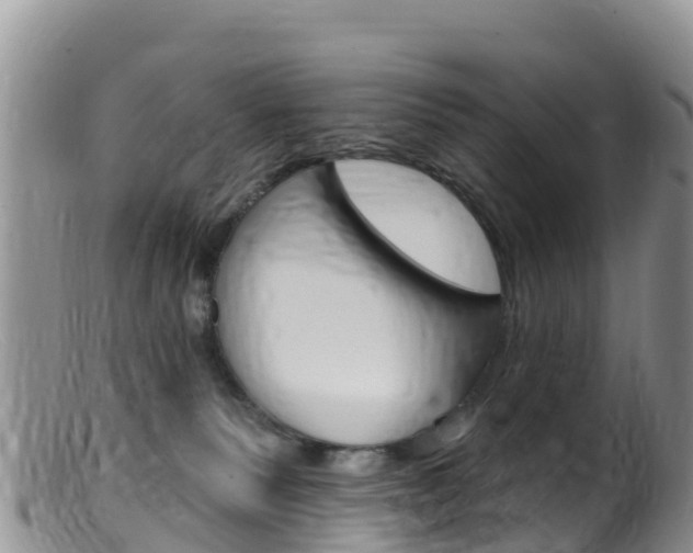 X0000099540135200805160757