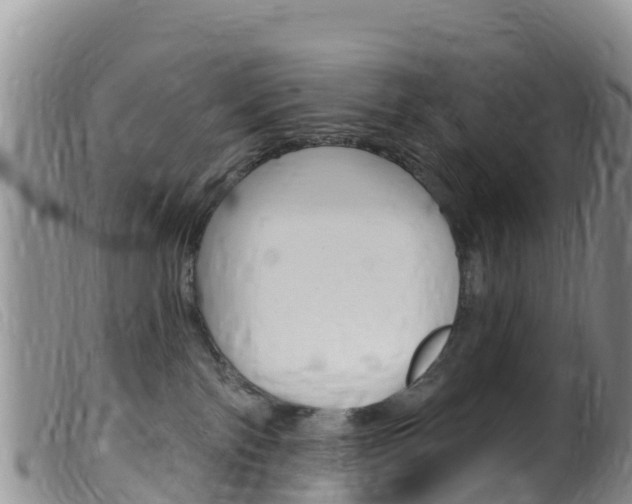 X0000099540138200805160757