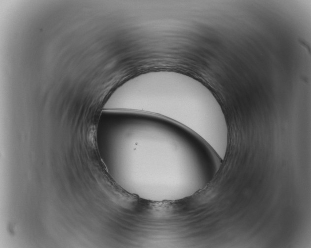 X0000099540141200805160757