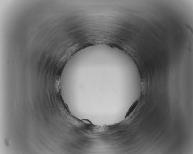 X0000099540142200805160757