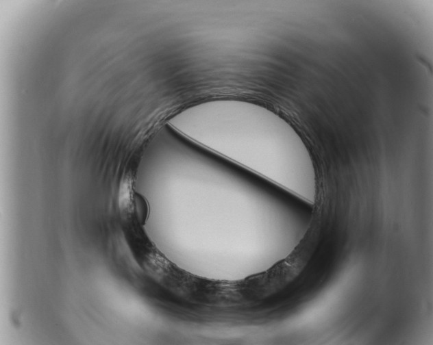 X0000099540143200805160757