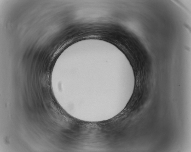 X0000099540146200805160757