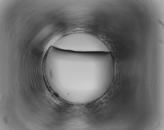 X0000099540147200805160757