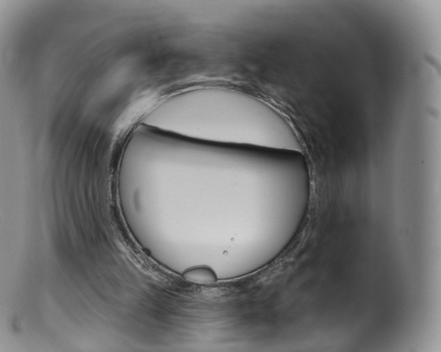 X0000099540149200805160757
