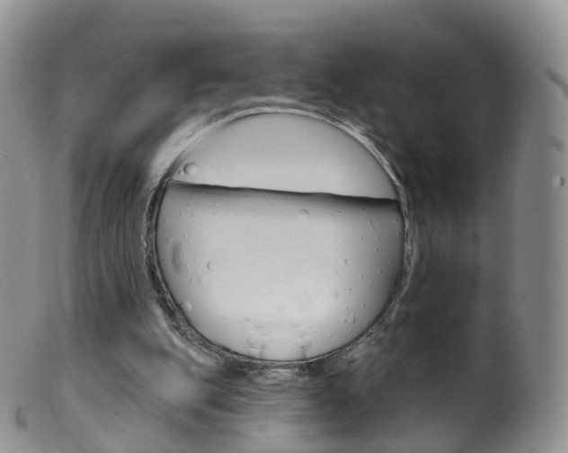 X0000099540151200805160757