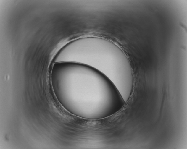 X0000099540152200805160757