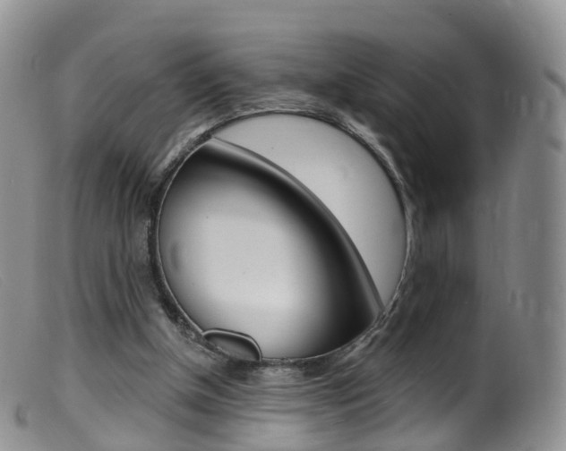 X0000099540154200805160757