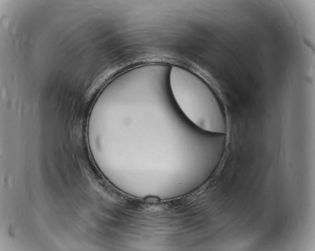 X0000099540155200805160757