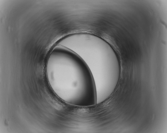X0000099540156200805160757