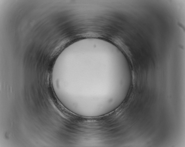 X0000099540157200805160757