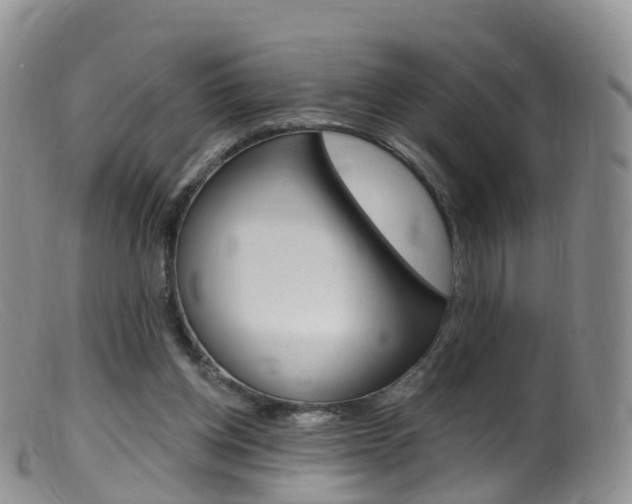 X0000099540158200805160757