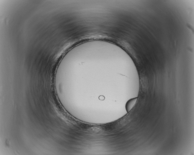 X0000099540159200805160757